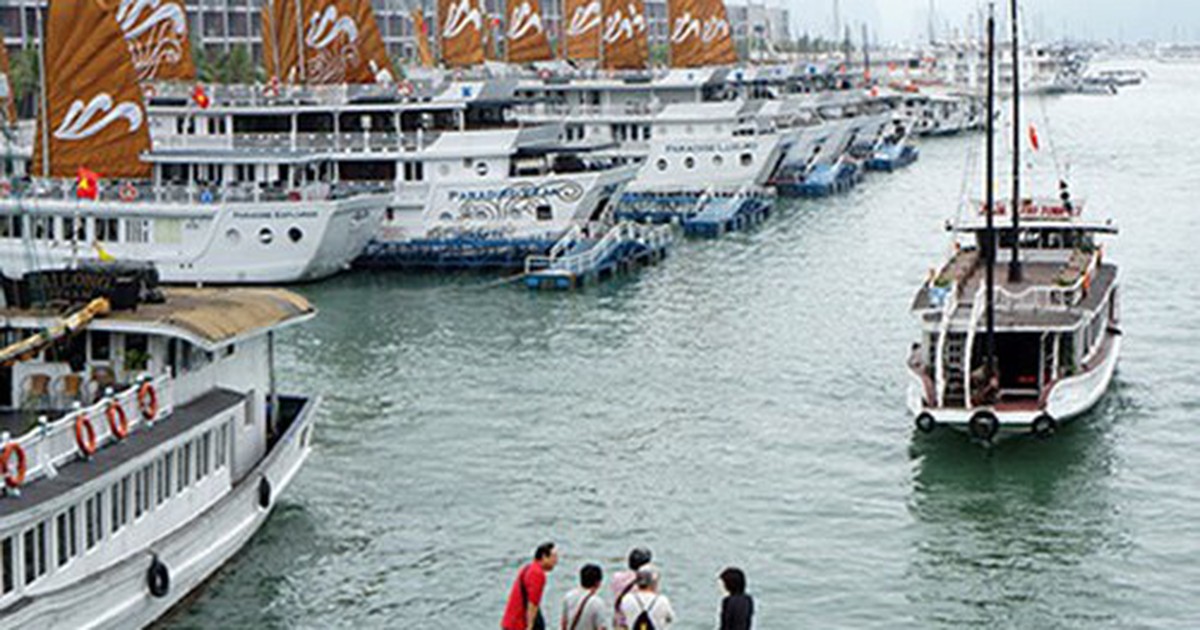 Sắp đưa vào hoạt động Bến cảng khách quốc tế Tuần Châu