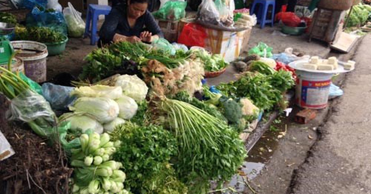 Nhiều mẫu rau tồn dư thuốc bảo vệ thực vật quá mức