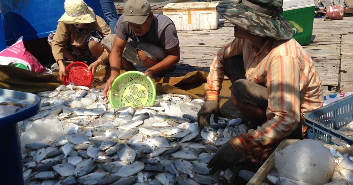 Tòa án thụ lý đơn của người dân kiện các doanh nghiệp xả thải