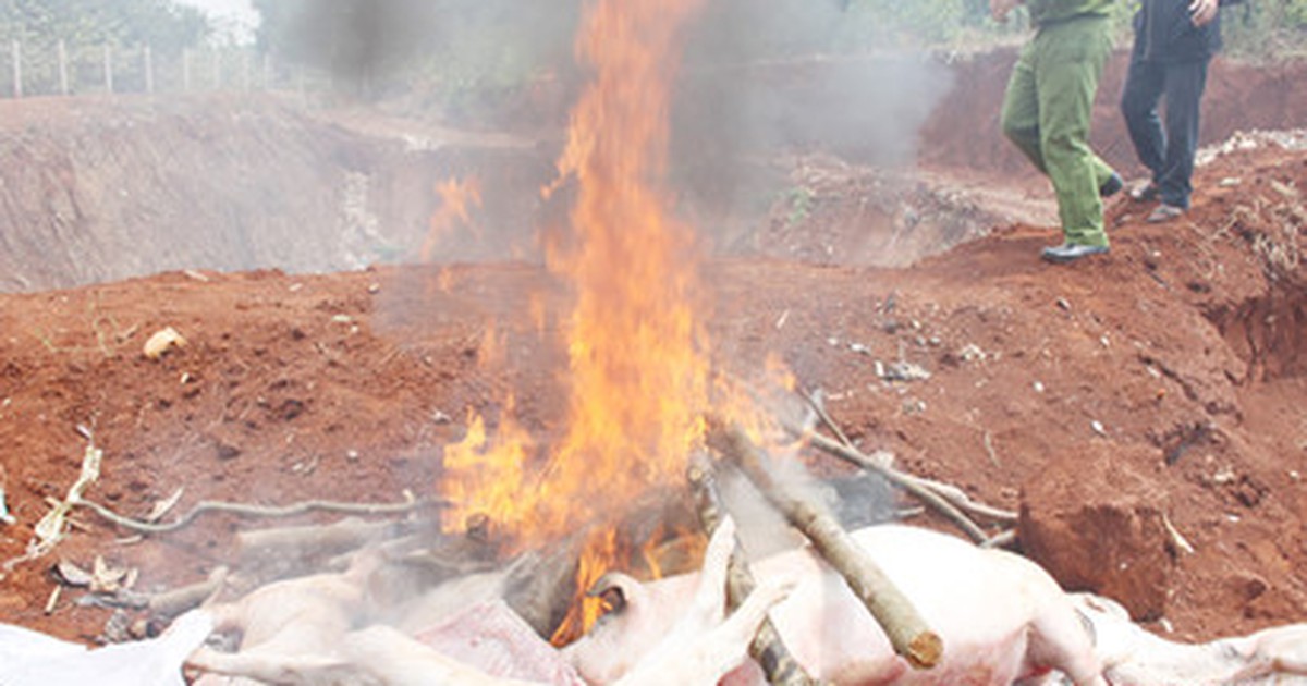 Đồng Nai cần quan tâm hơn đến môi trường và an toàn thực phẩm