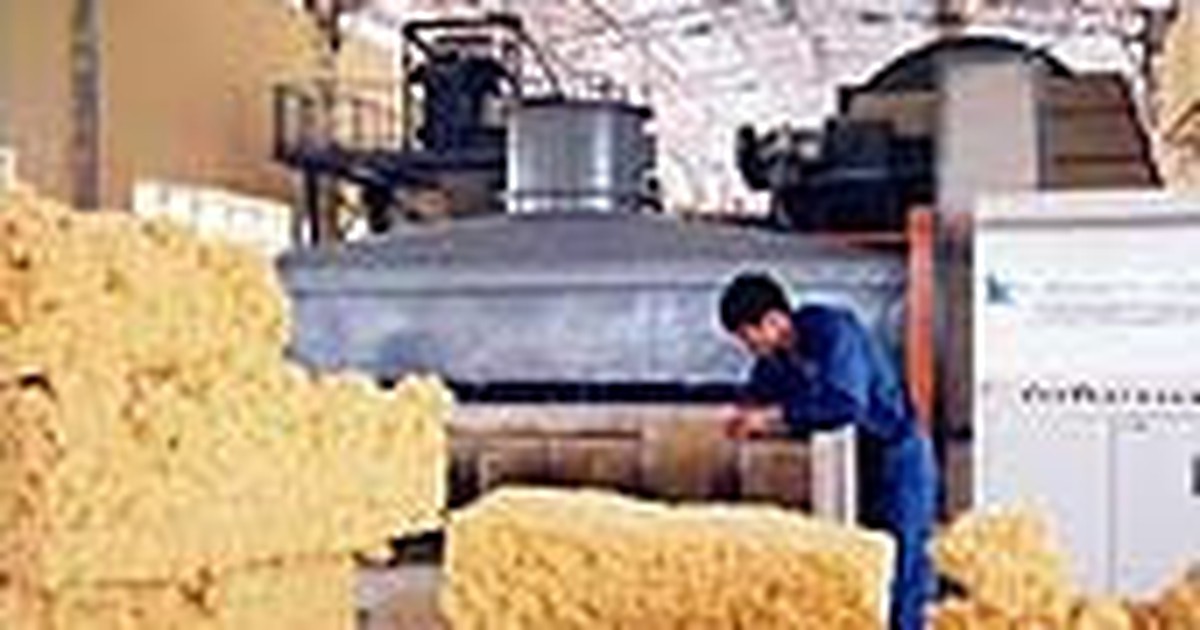 Tập đoàn cao su 'xin' hỗ trợ thủ tục hải quan