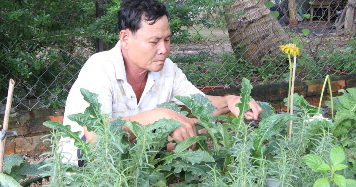 Tự tạo cơ hội: Kiếm tiền từ hoa kiểng cấy mô