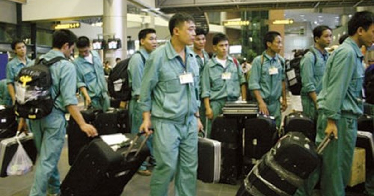 Yêu cầu báo cáo việc thu phí xuất khẩu lao động quá cao