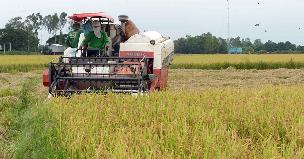 Doanh nghiệp cần cơ chế hơn tiền