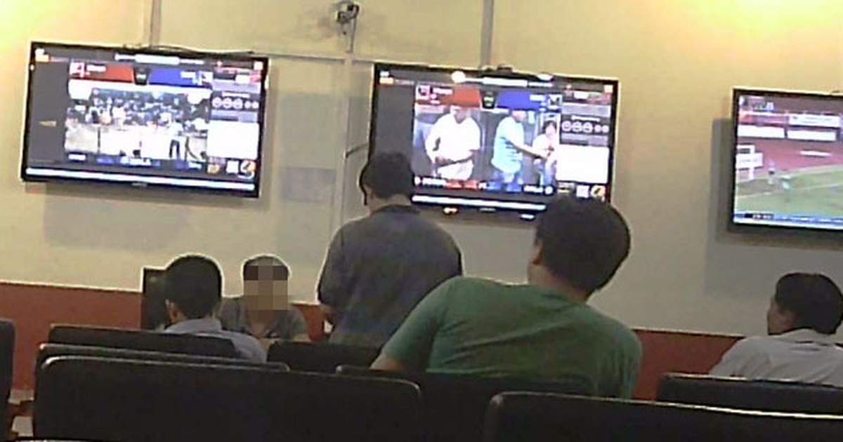 Đá gà độ online