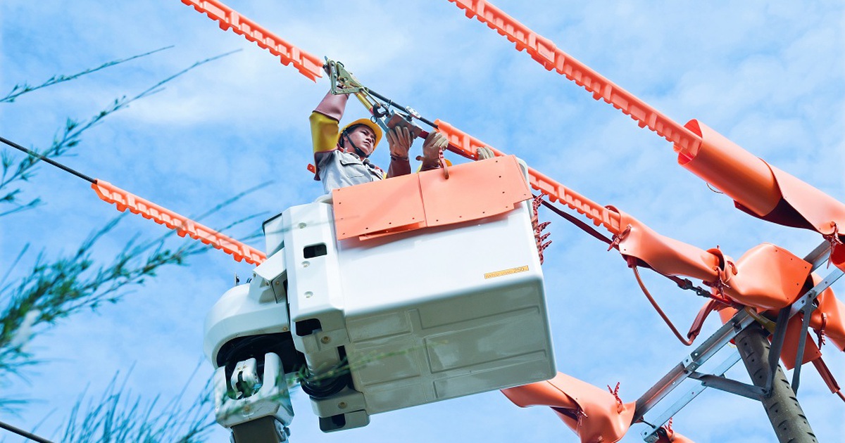 Ngành điện miền Nam nỗ lực hoàn thành kế hoạch năm