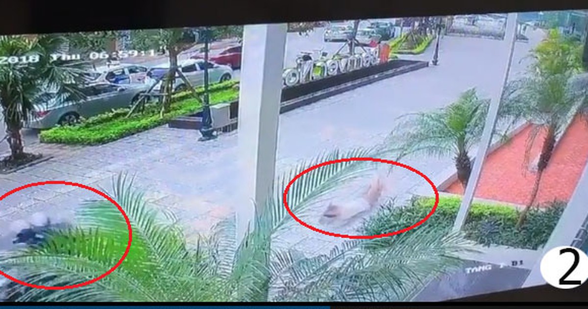 Nóng trên mạng xã hội: ‘Cẩu tặc’ táo tợn và người chồng vô lương