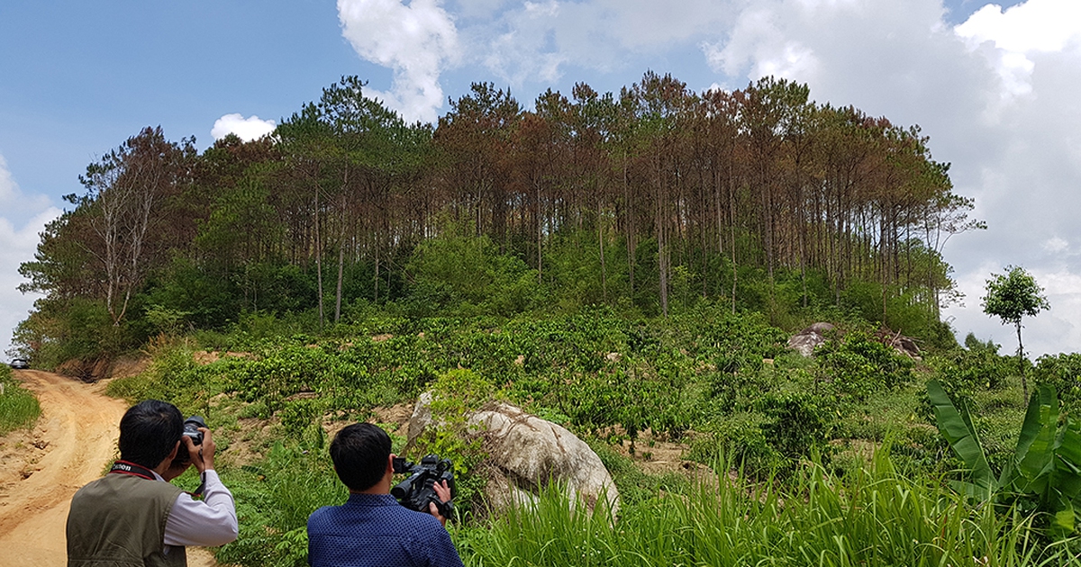 Góc nhìn phóng viên: Nước mắt người giữ rừng