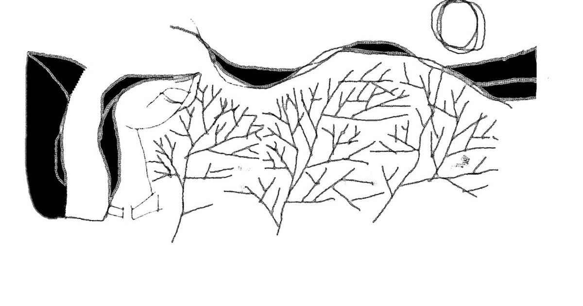 Nắng như chiếc khăn tơ vàng - Thơ của T.N.Thu Thủy