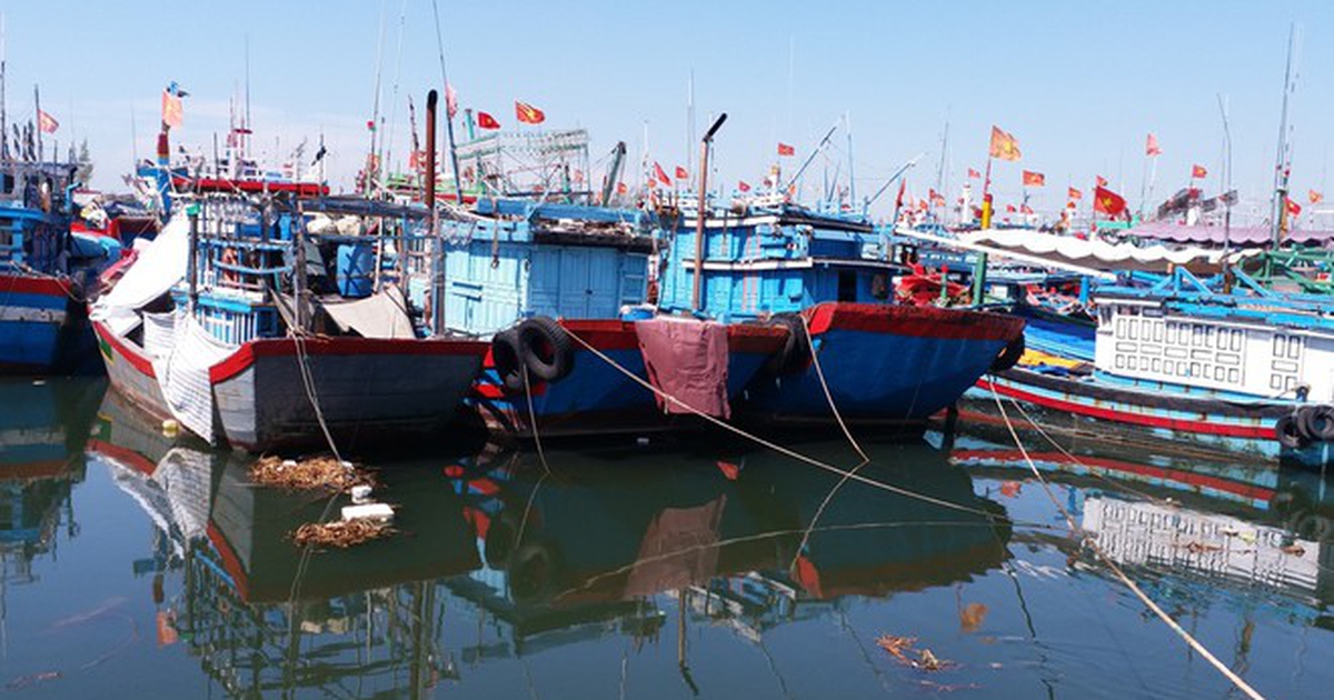 thanhnien.vn