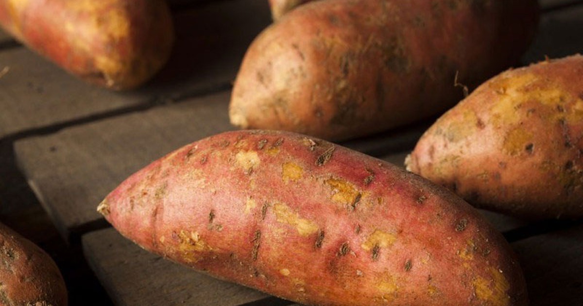 Chuyên gia nói gì về 'khoai lang giúp tăng khả năng miễn dịch'?