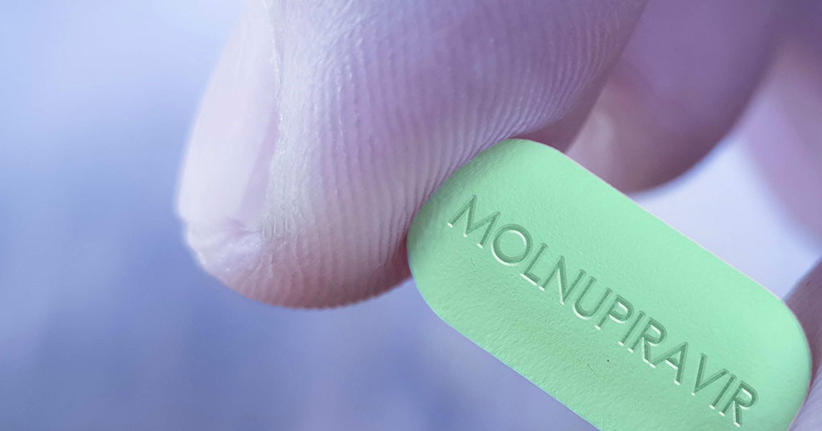 Hỏi nhanh về Covid-19: F0 nào được nhận thuốc kháng vi rút Molnupiravir?