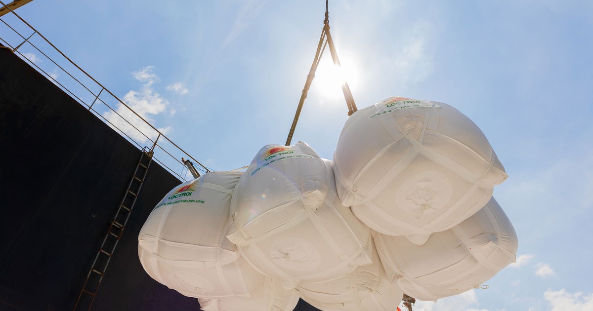 Việt Nam trong 'cơn sốt' giá lương thực thế giới