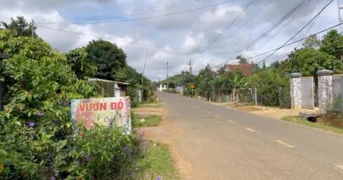 Đìu hiu vườn đỏ