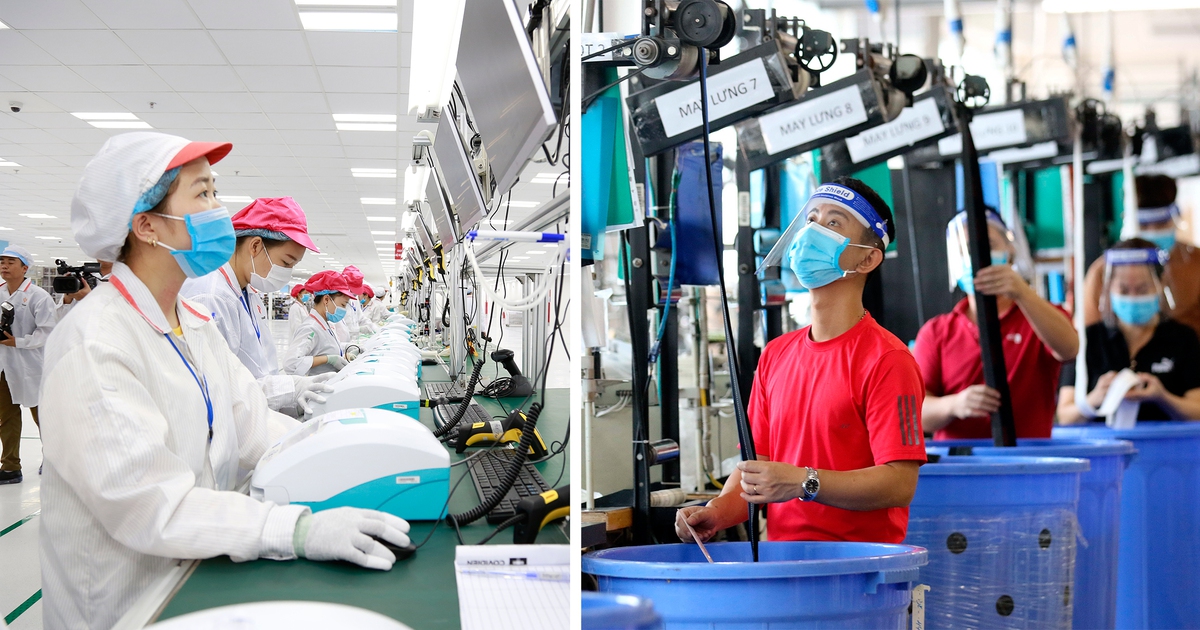 Sức bật kỳ diệu của doanh nghiệp Việt