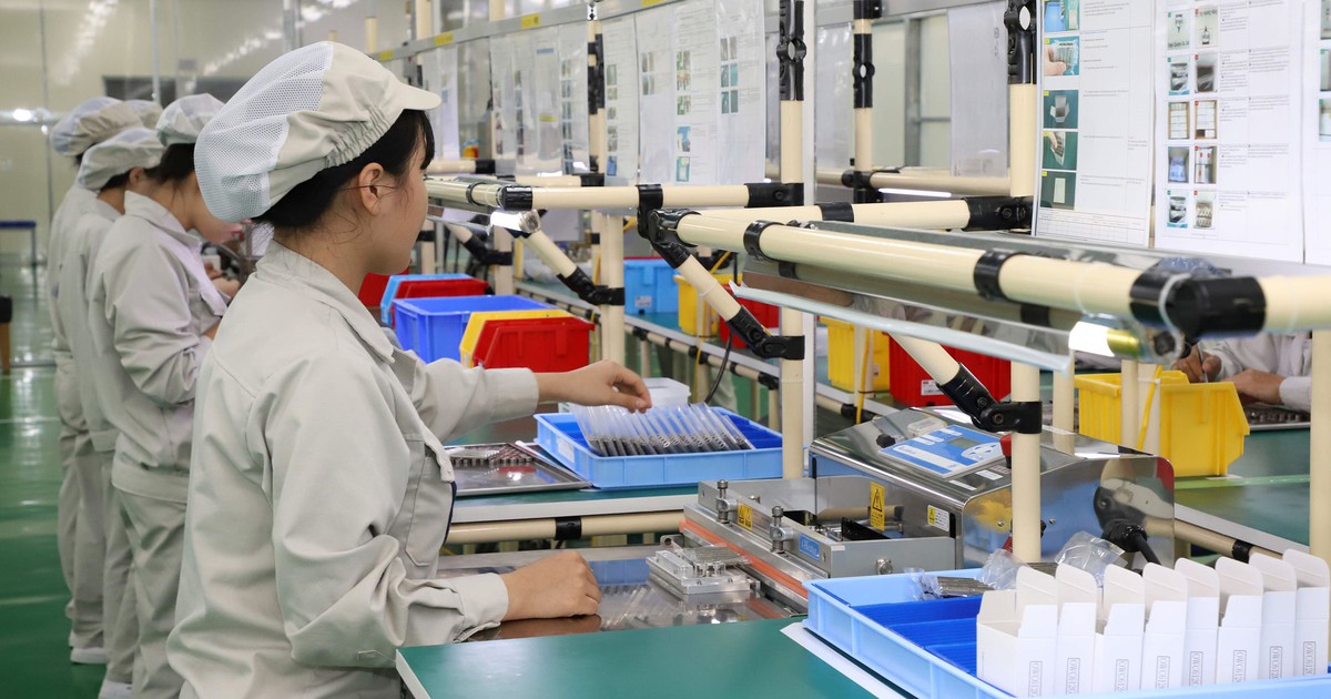 Chiến lược xây dựng những 'đại bàng quốc tịch Việt'