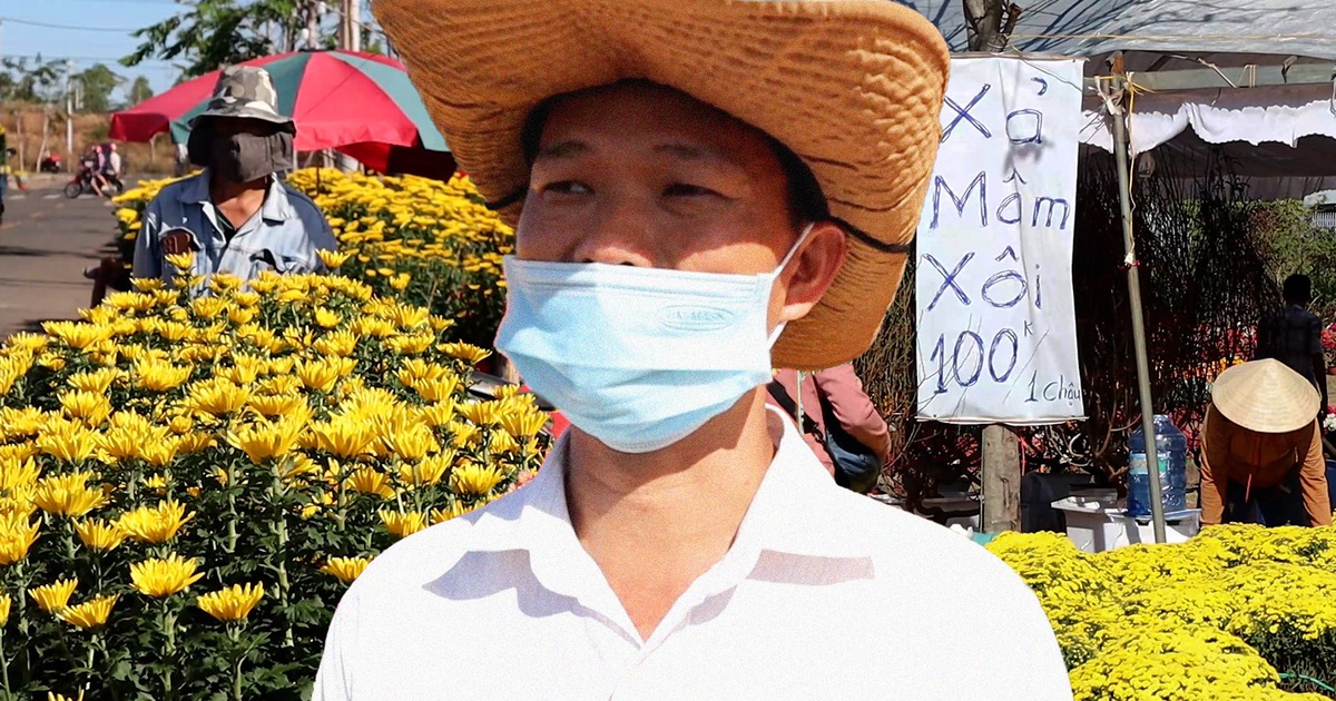 Nhà vườn, tiểu thương ngao ngán vì chợ hoa xuân vắng hoe ngày 30 tết