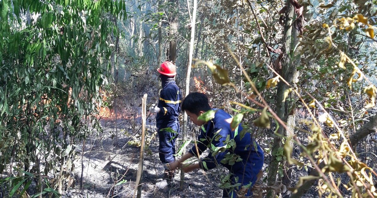 Đà Nẵng: Bất cẩn đốt thực bì gây cháy rừng