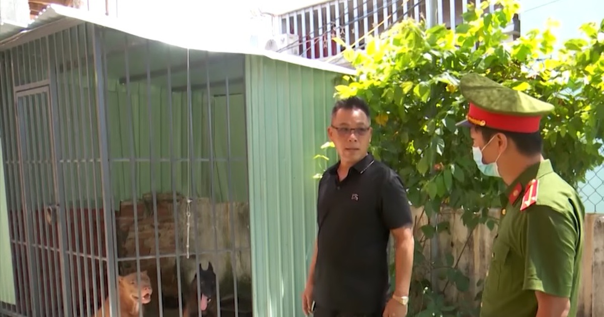 Vụ xua chó Pitbull, Becgie cắn người để trả thù: Khởi tố chủ chó lẫn nạn nhân