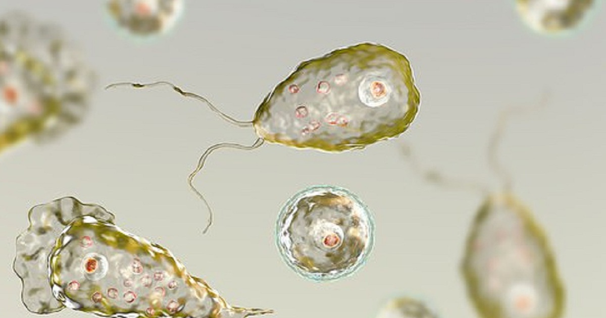 Bơi trong hồ, cậu bé bị nhiễm amip ăn não hiếm gặp