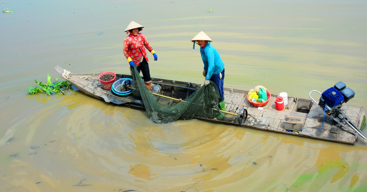 Nhớ những ngày đặt hầm bắt cá ở làng xưa