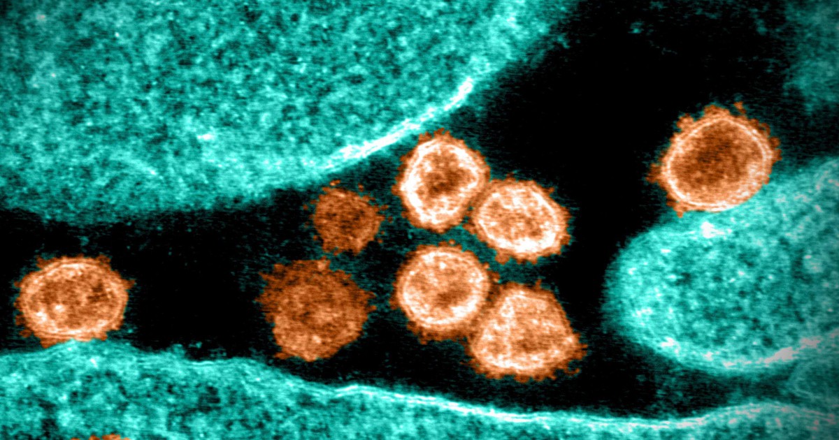 WHO gọi biến thể mới là Omicron, đưa vào danh sách biến thể đáng lo ngại