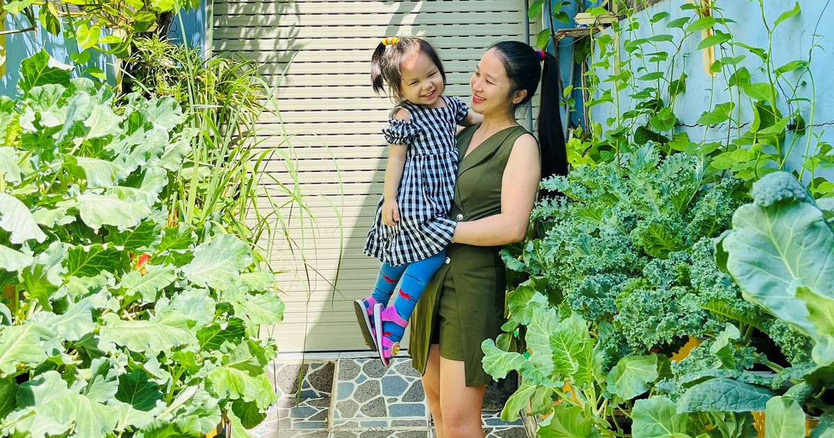 Vườn rau 4 mét vuông xanh 'mướt mắt' của mẹ trẻ từng không biết trồng cây