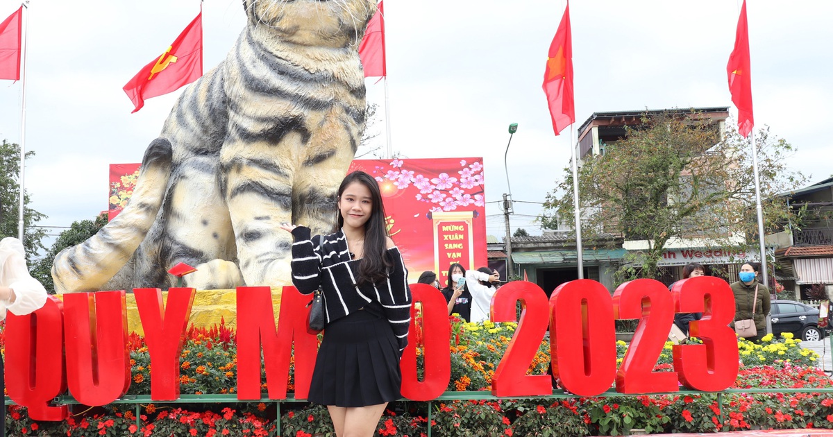 Giới trẻ thích thú 'check-in' với 'hoa hậu mèo' chào xuân Quý Mão