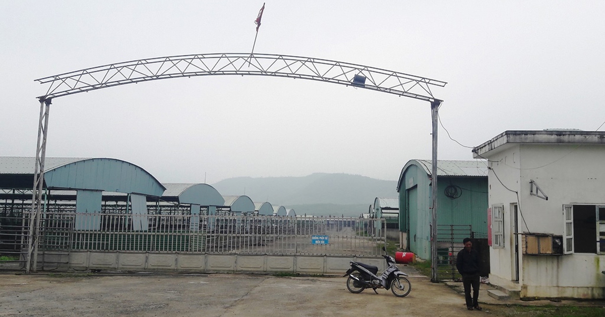 Bí thư Hà Tĩnh nói về sai phạm tại dự án liên quan đến ông Trần Bắc Hà