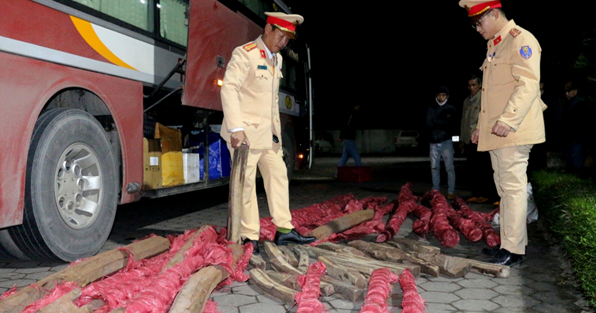 Hà Tĩnh: Kiểm tra xe khách, phát hiện gần 1 tấn gỗ trắc chở lậu trong hầm hàng