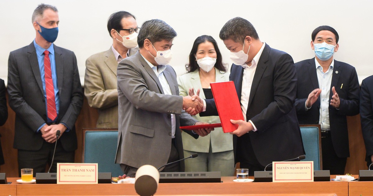 Bộ NN-PTNT kết nối cung ứng nông sản, thực phẩm cho Hà Nội dịp tết Nhâm Dần