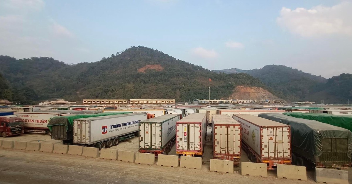 Lạng Sơn nói gì về nông sản xuất khẩu Trung Quốc ùn ứ ở cửa khẩu?