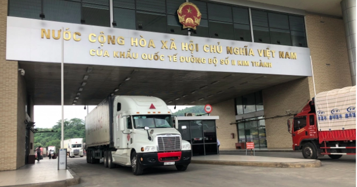 Trung Quốc tạm dừng thông quan, vải thiều 'quay xe' về nội địa