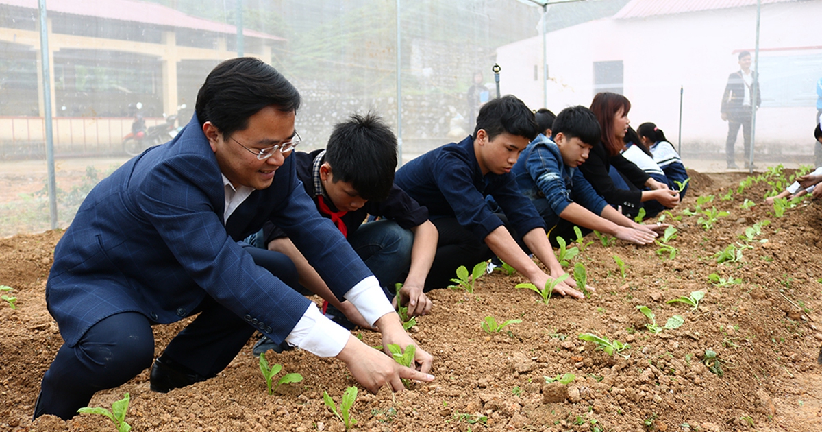 Khởi động chương trình trồng rau sạch cho học sinh miền núi