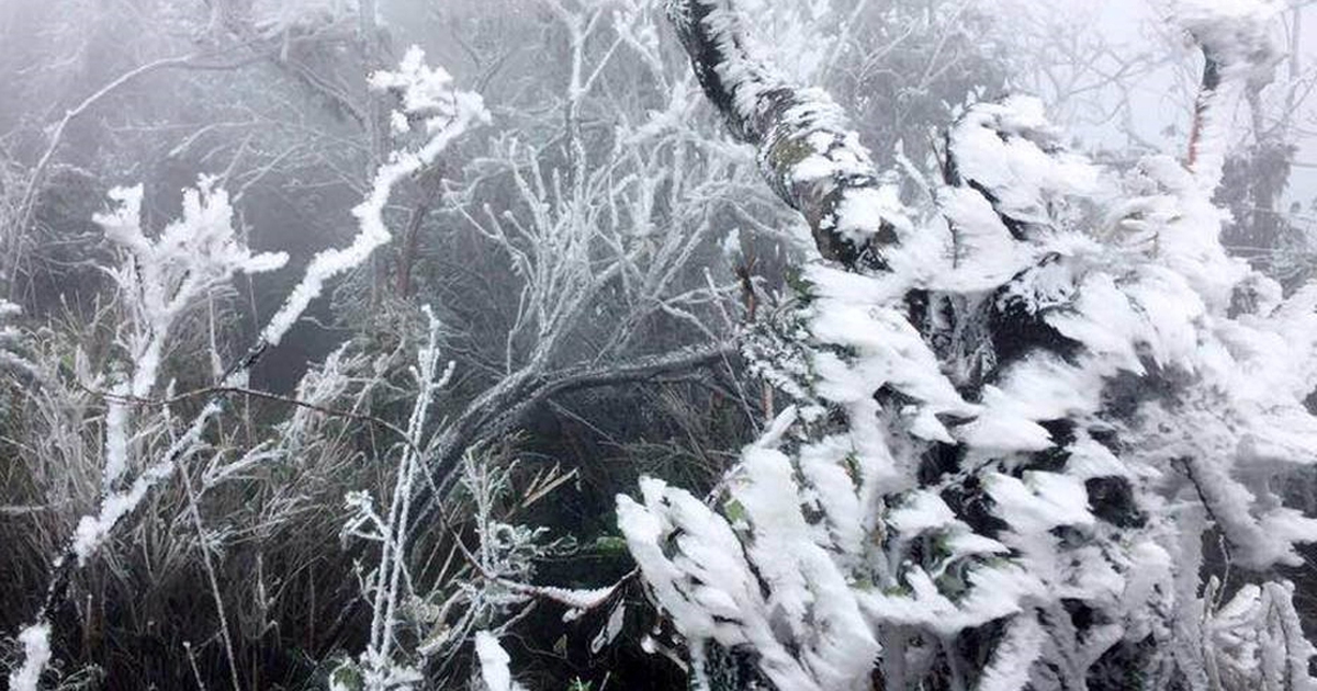 Vùng núi miền Bắc rét hại, nguy cơ băng giá, tuyết rơi