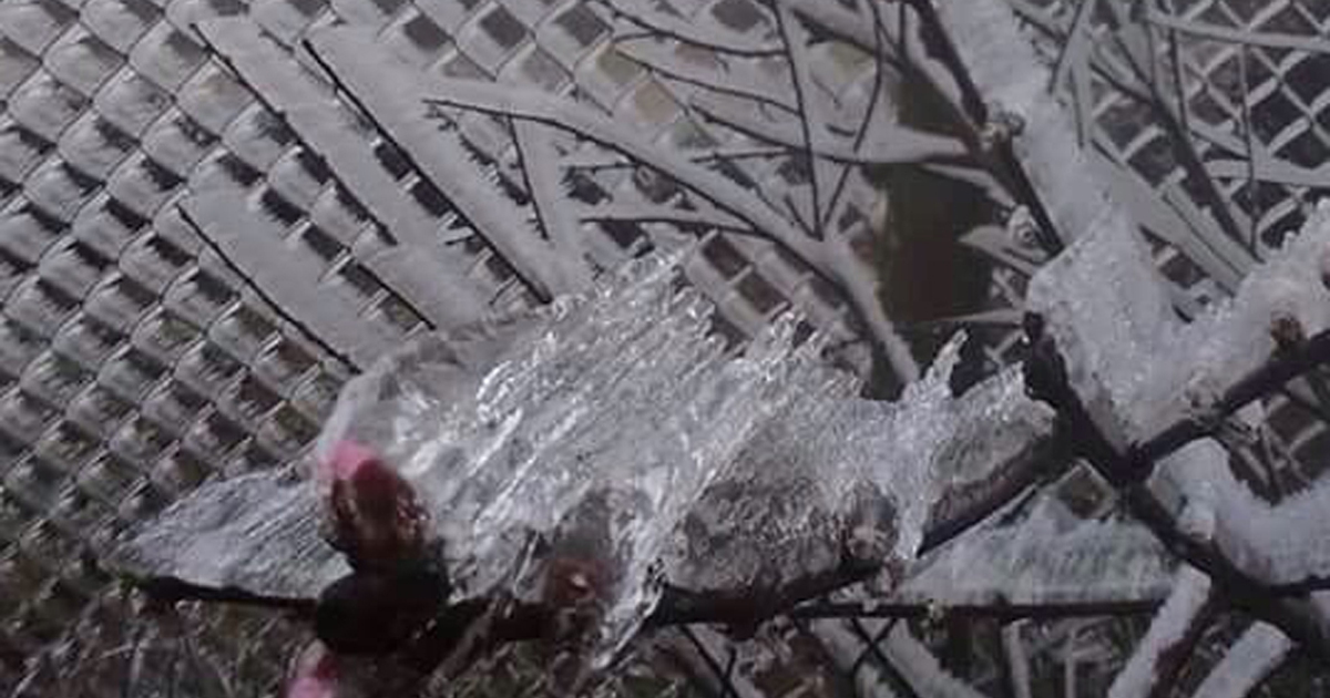 Băng giá lại xuất hiện tại vùng núi Lào Cai