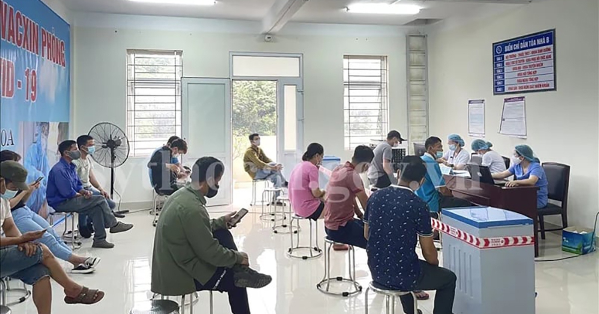 thanhnien.vn