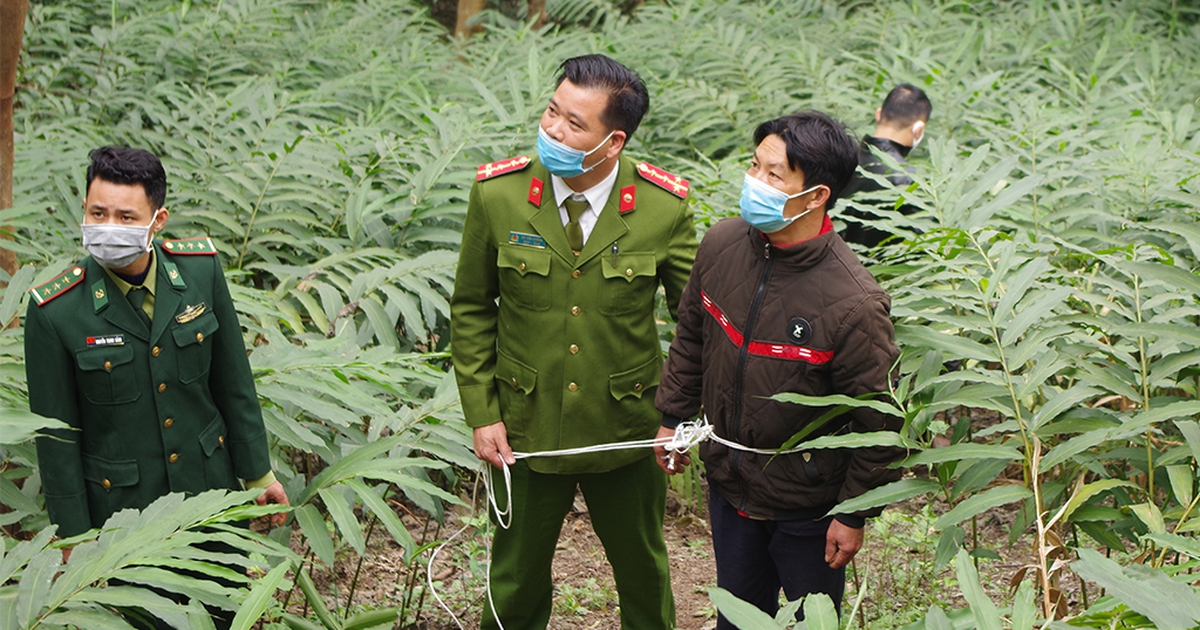 Dựng lại hiện trường đưa người vượt biên từ Trung Quốc về Việt Nam né chốt Covid-19