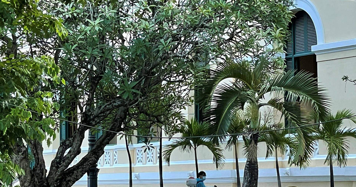 TP.HCM giãn cách xã hội: TAND Q.Gò Vấp tạm dừng xét xử, trừ trường hợp cấp bách