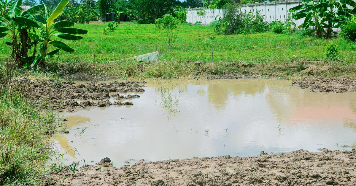Liên tiếp nhiều trẻ em bị chết đuối thương tâm