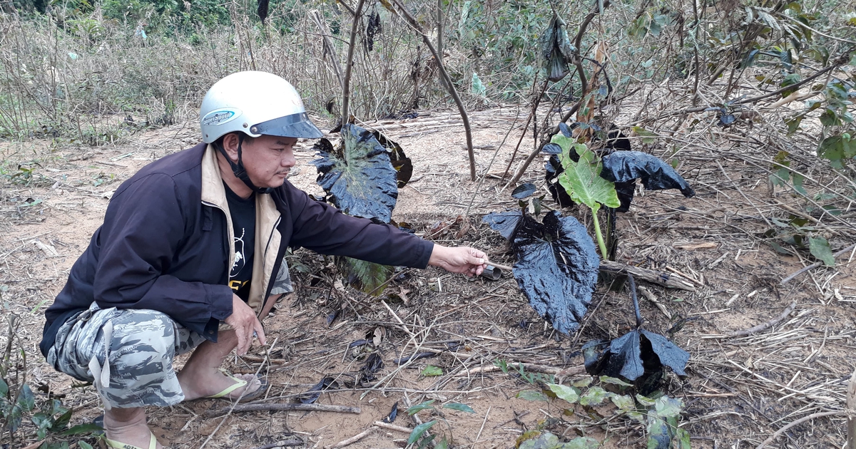 Trạm trộn bê tông nhựa xả thải ra sông Hiếu: UBND tỉnh Quảng Trị vào cuộc