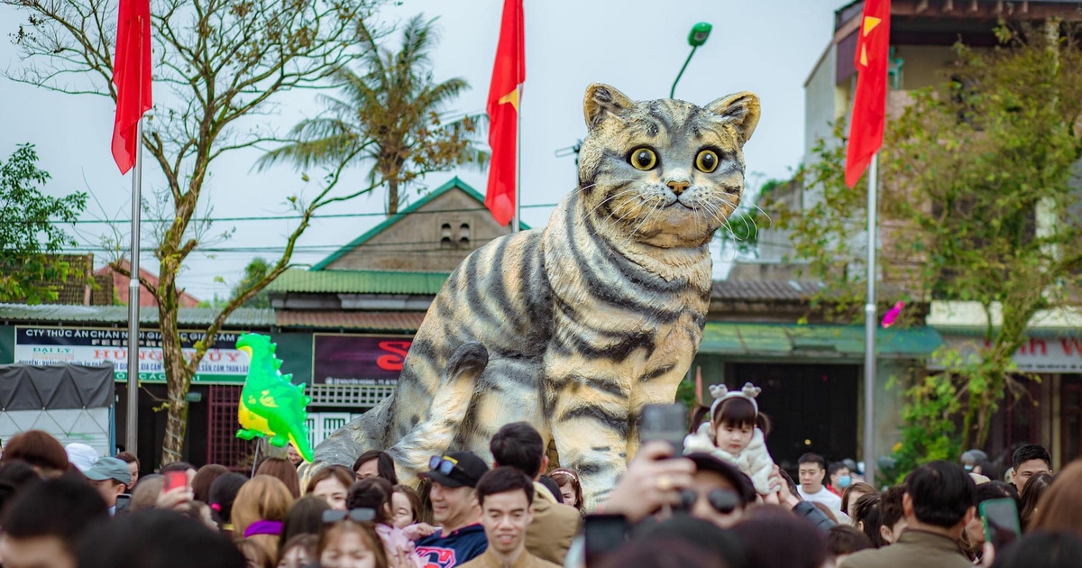 Mùng 6 Tết, ‘hoa hậu Mèo’ ở Quảng Trị vẫn chưa hết nóng