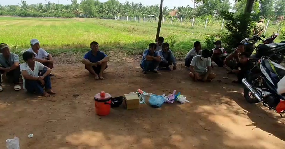 Triệt phá trường gà ở Tây Ninh, tạm giữ 12 người để điều tra