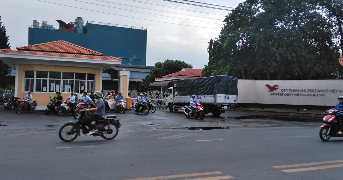 119 gói hàng dương tính với cocain trong container bột cá