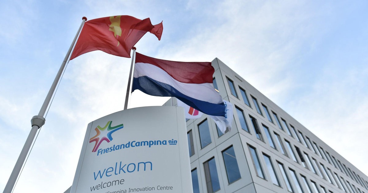 Đến Hà Lan để hiểu hơn về chuẩn sữa tươi châu Âu