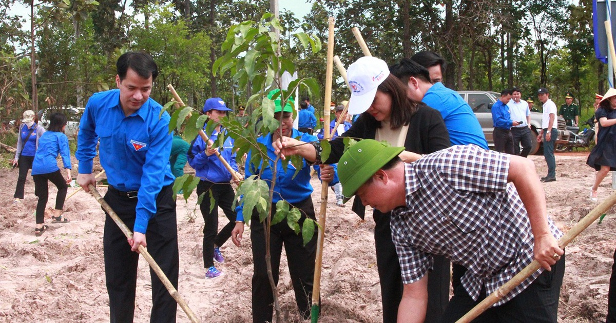 T.Ư Đoàn tổ chức trồng 76.000 cây xanh tại Đắk Lắk