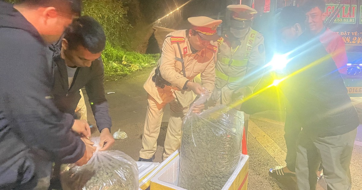 Đắk Lắk: Bắt đường dây 'thâm canh', mua bán cần sa liên tỉnh