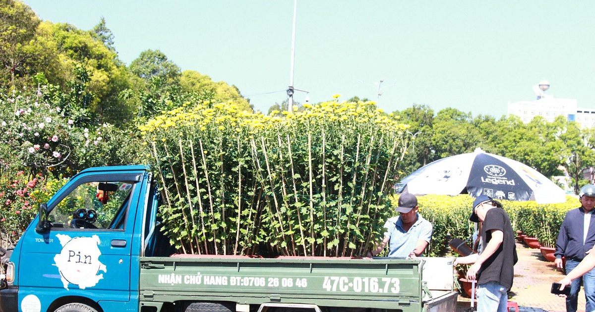 'Chạy sô' ship hàng kiếm tiền triệu/ngày giữa chợ hoa xuân