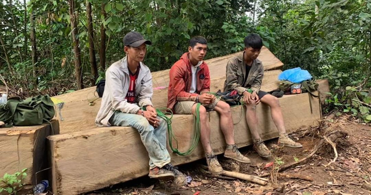 Đắk Lắk: Công an xuyên đêm mật phục, bắt vụ phá rừng nguyên sinh ở Krông Bông