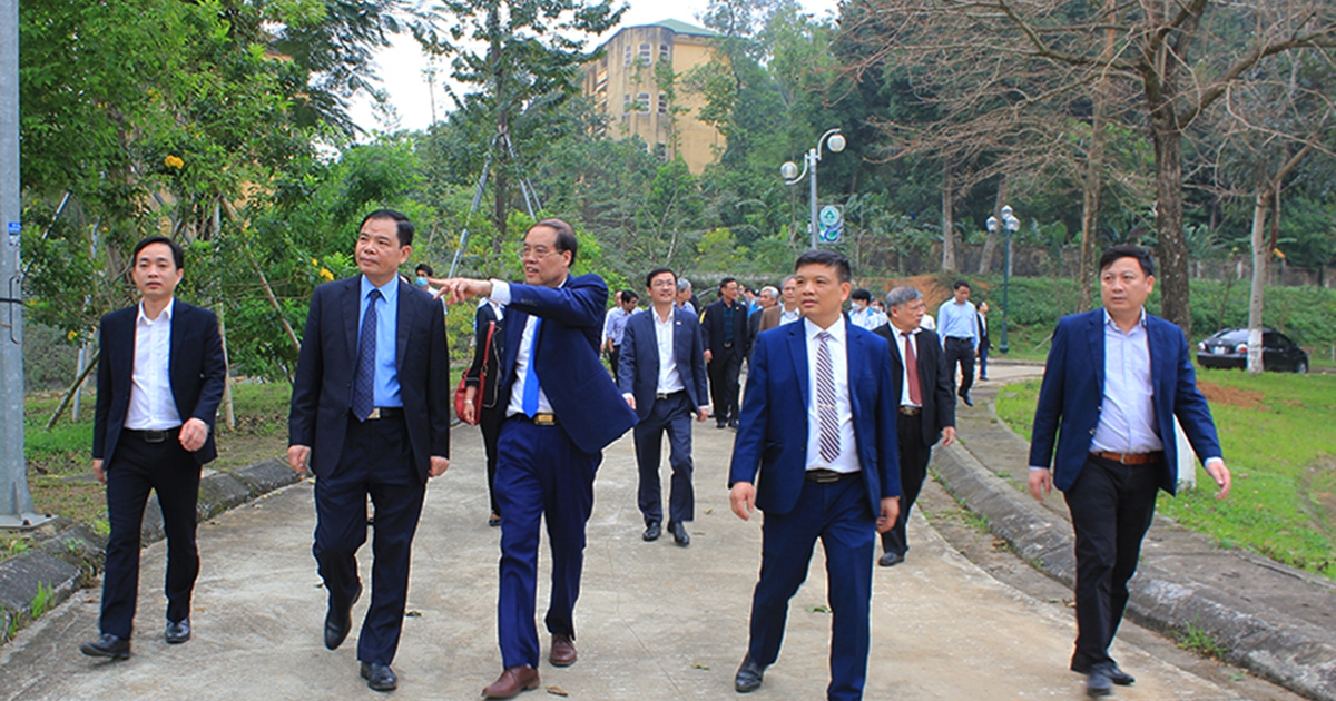 Sinh viên lâm nghiệp diện 'đặt hàng' được miễn học phí, không lo đầu ra